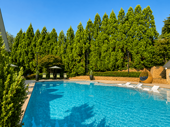 Resort-style saltwater swimming pool with a sunning ledge